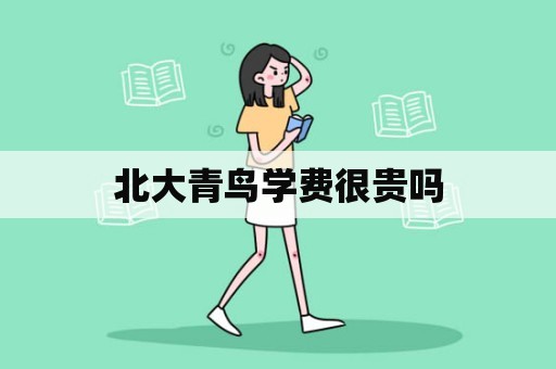 北大青鸟学费很贵吗