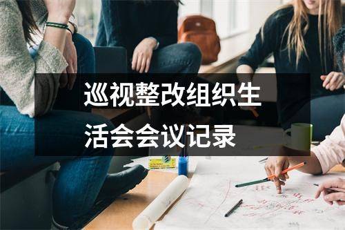 巡视整改组织生活会会议记录(推荐16篇)1